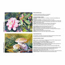 Clairefontaine Etival Pad Macaroons A4 300gsm 12 Sheets