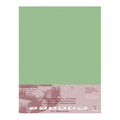 Clairefontaine Pastelmat Paper 50x70cm - Pack Of 5#Colour_LIGHT GREEN