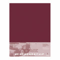 Clairefontaine Pastelmat Paper 50x70cm - Pack Of 5#Colour_WINE