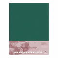 Clairefontaine Pastelmat Paper 50x70cm - Pack Of 5#Colour_DARK GREEN
