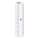 Debden Desk Dayplanner Today Ruler Pack Of 2