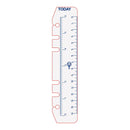 Debden Personal Dayplanner Today Ruler Pack Of 2