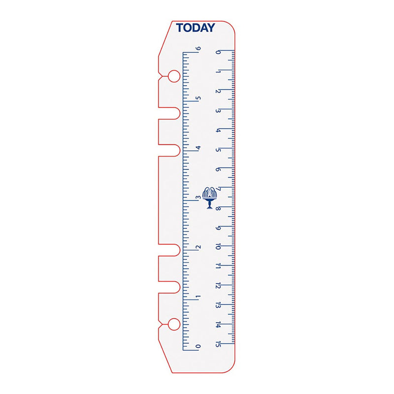 Debden Personal Dayplanner Today Ruler Pack Of 2