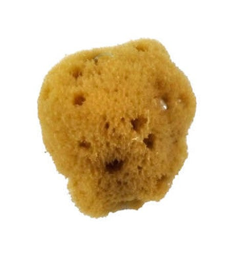 Royal Sea Silk Sponge