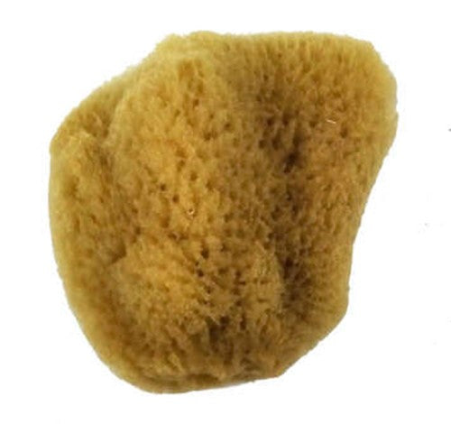 Royal Sea Silk Sponge