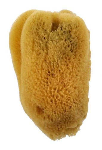 Royal Sea Silk Sponge