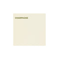 Daler Rowney Canford Card A1 - 10 Sheets#Colour_CHAMPAGNE