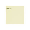 Daler Rowney Canford Card A1 - 10 Sheets#Colour_BARLEY