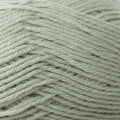 Naturally Magic Garden Classic Yarn 8ply#Colour_APPLE (841)