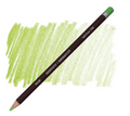 Derwent Coloursoft Pencil#Colour_LIGHT GREEN