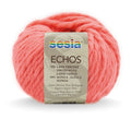 Sesia Echos Super Chunky Yarn#Colour_MELON (2377)