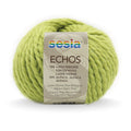 Sesia Echos Super Chunky Yarn#Colour_AVOCADO (2462)