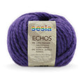 Sesia Echos Super Chunky Yarn#Colour_PURPLE (2945)