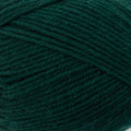 Naturally Gallipoli Yarn 8ply#Colour_FOREST (1943)