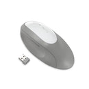kensington dual wireless ergo mouse
