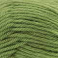 Naturally Loyal Wool DK Yarn 8ply 959#Colour_SPRUCE (959)