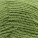 Naturally Loyal Wool DK Yarn 8ply 959