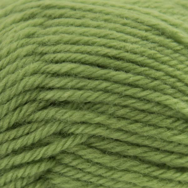 Naturally Loyal Wool DK Yarn 8ply 959