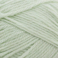 Naturally Loyal Wool DK Yarn 8ply#Colour_WATERSPRITE (973)