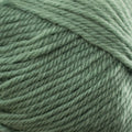 Naturally Loyal Wool DK Yarn 8ply#Colour_DARK SPRUCE (979)