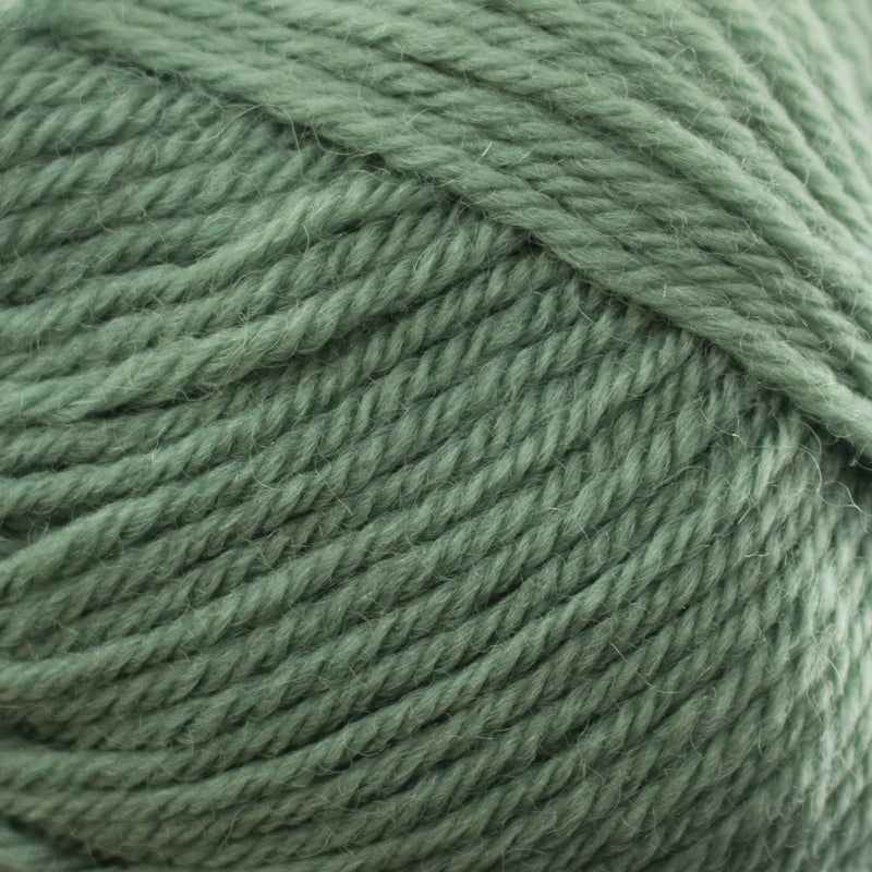 Naturally Loyal Wool DK Yarn 8ply