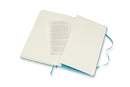 moleskine notebook large ruled hard cover