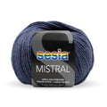 Sesia Mistral Merino Yarn 4ply#Colour_DENIM MIX (1641)