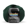 Sesia Mistral Merino Yarn 4ply#Colour_FOREST GREEN (2458)