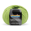 Sesia Mistral Merino Yarn 4ply#Colour_SPRUCE (249)