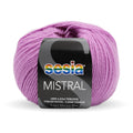 Sesia Mistral Merino Yarn 4ply#Colour_PINK/BLUE (537)