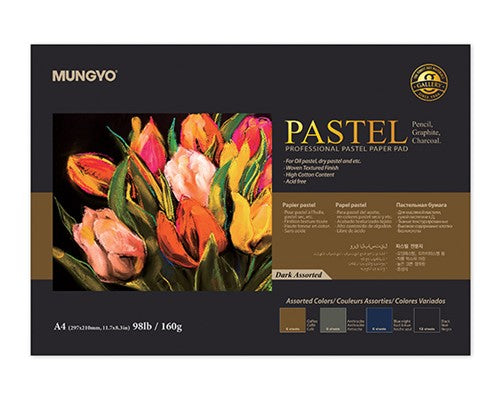 Mungyo Pastel Pad 160gsm Dark 30 Sheets A4