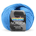 Sesia Nordica Merino DK Yarn 8ply#Colour_BLUE TEAL (1560)