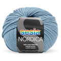 Sesia Nordica Merino DK Yarn 8ply#Colour_BLUE GREY (1686)
