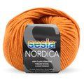 Sesia Nordica Merino DK Yarn 8ply#Colour_BURNT ORANGE (1704)