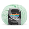Sesia Nordica Merino DK Yarn 8ply#Colour_WATERSPRITE (270)