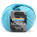 Sesia Nordica Merino DK Yarn 8ply#Colour_AQUA (3198)