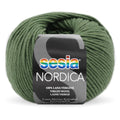 Sesia Nordica Merino DK Yarn 8ply#Colour_LEAF GREEN (5947)