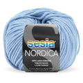 Sesia Nordica Merino DK Yarn 8ply#Colour_BLUE PASTEL (738)