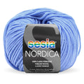 Sesia Nordica Merino DK Yarn 8ply#Colour_MORNING SKY (82)