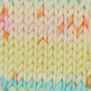 Sesia Nordica DK Print Yarn 8ply