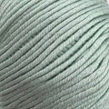 Sesia Windsurf DK Yarn 8ply#Colour_SOFT MINT (1319)