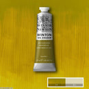 Winsor & Newton Winton Oil Colour Paint 37ml