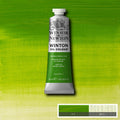 Winsor & Newton Winton Oil Colour Paint 37ml#Colour_CHROME GREEN HUE